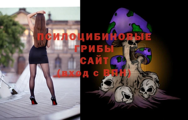 дживик Алексин