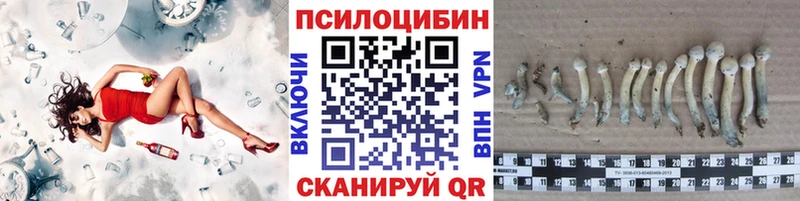 наркота  Ардатов  Псилоцибиновые грибы Psilocybe 